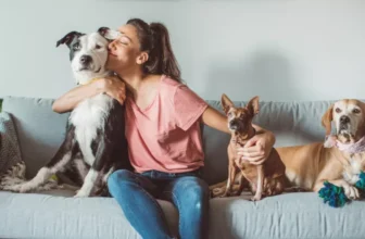 Can Pets Really Boost Your Mental Health?